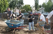 photo-community
